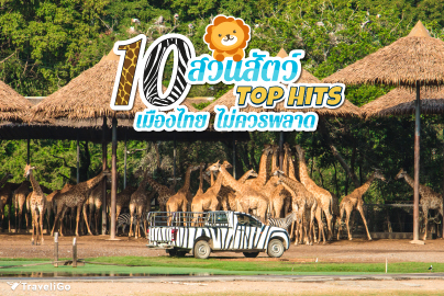 10 สวนสัตว์ Top Hits เมืองไทย ไม่ควรพลาด